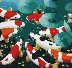 Koi Fish Paint By Numbers