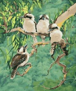 Kookaburra Birds Paint By Numbers