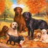 Labrador Dogs Paint By Numbers