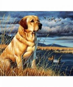 Lake Dog Paint By Numbers