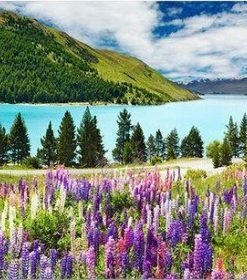 Lake Tekapo Paint By Numbers