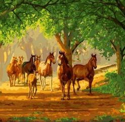 Lane Horses Paint By Numbers