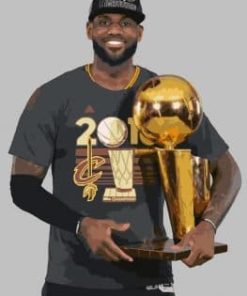 LeBron Trophy Paint By Numbers