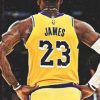 Lebron Back Paint By Numbers