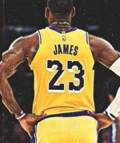 Lebron Back Paint By Numbers