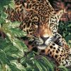 Leopard Animals Paint By Numbers