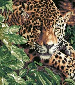 Leopard Animals Paint By Numbers