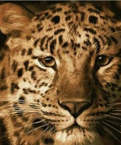 Leopard Animals Paint By Numbers