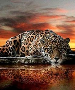 Leopard Stare Paint By Numbers