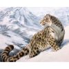 Leopard in Snow Paint By Numbers