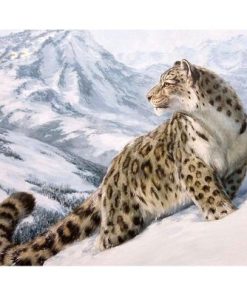 Leopard in Snow Paint By Numbers