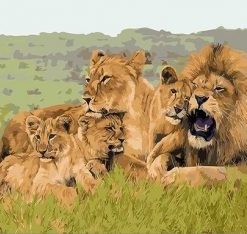 Lion Family Paint By Numbers