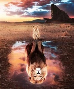 Lion Reflection Paint By Numbers