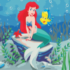 Little Mermaid Paint By Numbers