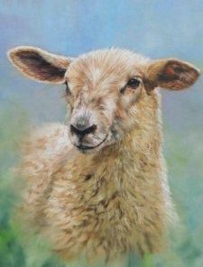 Little Sheep Paint By Numbers