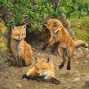 Littles Foxes Paint By Numbers