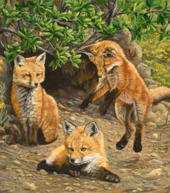 Littles Foxes Paint By Numbers