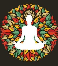 Lotus Chakra Pose Paint By Numbers