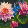 Lotus Flowers Paint By Numbers