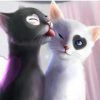 Love Cats Paint By Numbers