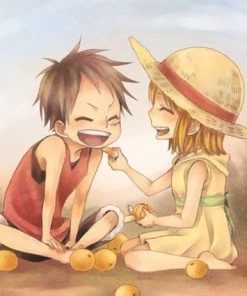 Luffy and Nami Paint By Numbers