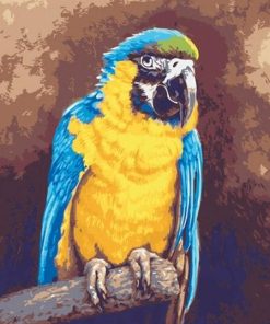 Macaw Birds Paint By Numbers