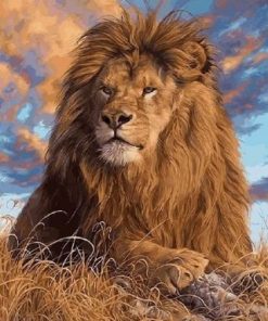 Magnificent Lion Paint By Numbers