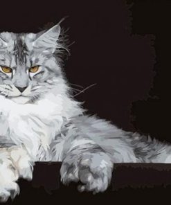 Maine Coon Paint By Numbers