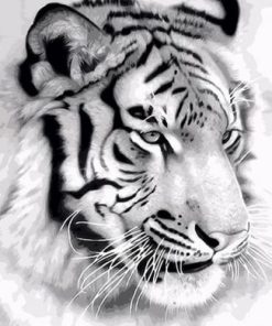 Majestic Tiger Paint By Numbers