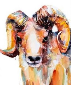 Male Sheep Paint By Numbers