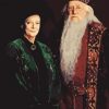 Minerva And Dumbledore Paint By Numbers