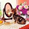 Mirror Cat Paint By Numbers