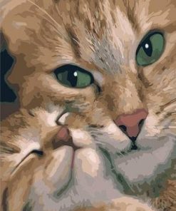 Mommy Cat Paint By Numbers