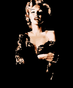 Monroe In Black Paint By Numbers