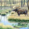 Moose Animal Paint By Numbers