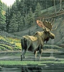 Moose By River Paint By Numbers