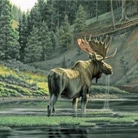 Moose By River Paint By Numbers