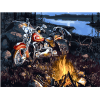 Motorcycle In Forest Paint By Numbers