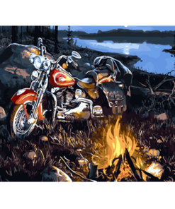 Motorcycle In Forest Paint By Numbers