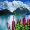 Mountains With Flowers paint by numbers