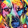 Multicolor Dog Paint By Numbers