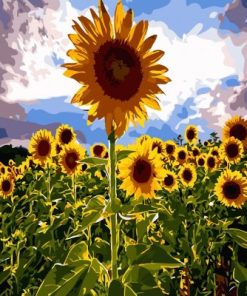 Nature Sunflowers Paint By Numbers