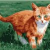 Orange Cat Paint By Numbers