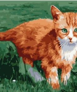 Orange Cat Paint By Numbers