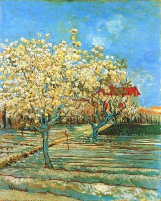 Orchard in Blossom Paint By Numbers