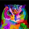 Owl Colored Paint By Numbers