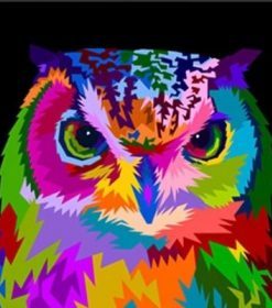 Owl Colored Paint By Numbers