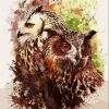 Owl Couple Paint By Numbers