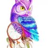 Owl Dreamcatcher Paint By Numbers