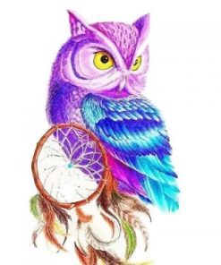 Owl Dreamcatcher Paint By Numbers